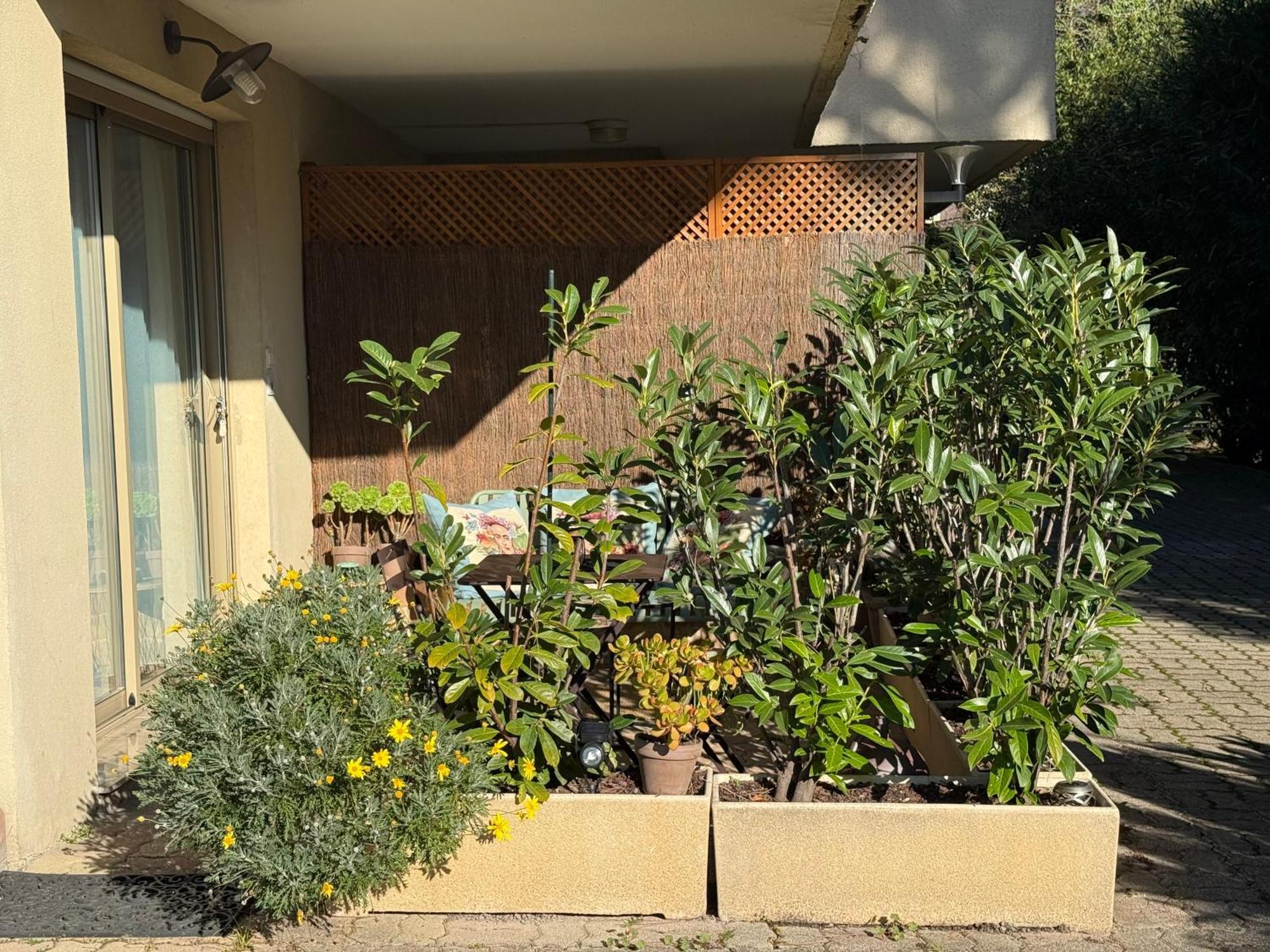 לה קאנה Studio Tout Confort Au Calme Avec Jardin Proche Cannes מראה חיצוני תמונה